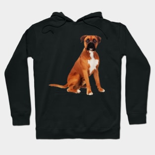 Boxer Dog, Brown Boxer Dog Lover Hoodie